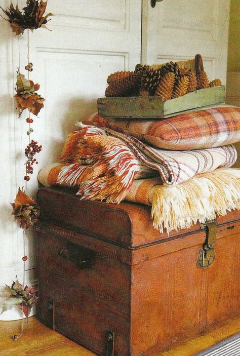 Creating Fall in 5 Easy Steps! 5 ways to bring Fall in to your home easily, on dreambookdesign.com October Wallpaper, Vibeke Design, Blankets And Pillows, Fall Bedroom, Bohol, Fabulous Fall, Fall Feels, Happy Fall Y'all, Autumn Cozy