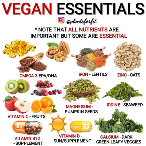 Vegan Ingredients List, Vegan Recipes Whole Food, Vegan Aesthetic, Vegan Essentials, Plant Based Meal Planning, Vegan Diet Plan, Vegan Pantry, Plant Based Diet Recipes, Vegan Menu