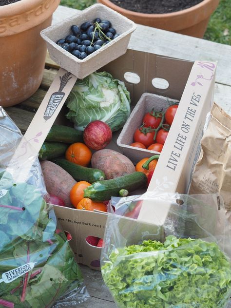 Fruit Boxes Ideas, Vegetable Delivery, Fruit And Veg Shop, Veggie Box, Vegetable Packaging, Organic Cooking, Fresh Eats, Vegetable Boxes, Vegetable Shop