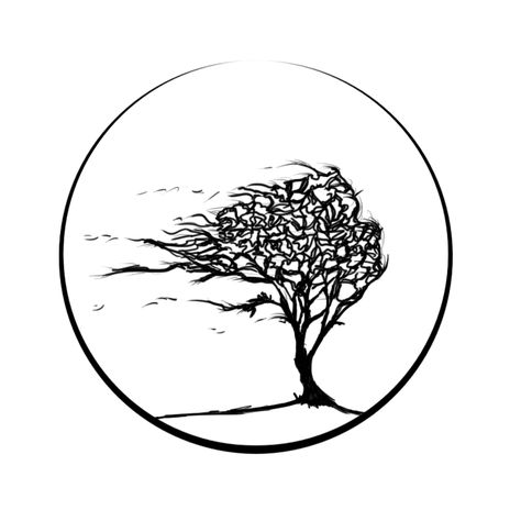 I want this tree to be my first tatoo its the tree of life :) Wind Tattoo, Tree Tattoos, Tattoo Now, Aesthetic Tattoo, Tree Tattoo, Birds Tattoo, Great Design, Creative Tattoos, Travel Tattoo