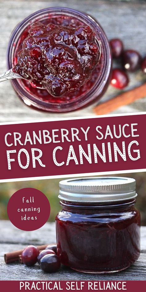 Canning Cranberry Sauce, Thanksgiving Cranberry Sauce, Canning Fruit Recipes, Fresh Cranberry Recipes, Thanksgiving Cranberry, Water Bath Canning Recipes, Best Cranberry Sauce, Canned Cranberries, Cranberry Jelly