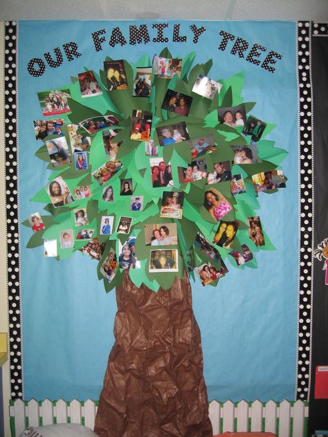 Each child brings in photos of family members to hang on our class family tree.  I do this at the beginning of kindergarten. Family Tree Ideas For Infant Classroom, Family Tree Bulletin Board Preschool, Family Tree Infant Classroom, Classroom Family Wall, Family Tree Wall Classroom Preschool Art, Family Tree Bulletin Board, Family Tree Art For Kids Classroom, Family Tree Kindergarten, Classroom Family Tree