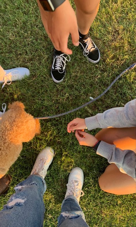 Dog Park Aesthetic, Cental Park, Park Aesthetic, Park Day, Dog Club, College Aesthetic, Dog Walk, Summer Romance, 2023 Vision