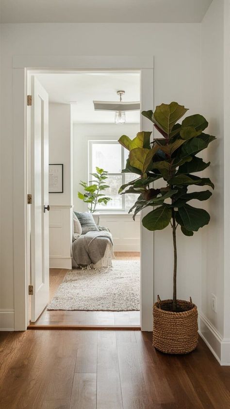 When it comes to living rooms, Fiddle Leaf Fig is a superstar. With its large, glossy leaves, it’s the perfect statement plant for those looking to add a touch of drama. This plant thrives in bright, indirect light, so placing it near a sunny window is ideal. Tall Houseplants, Planting Zones Map, Indoor Plants Bedroom, Plants Bedroom, Tall Indoor Plants, Parlor Palm, Aquaponic Gardening, Yucca Plant, Kitchen Herbs