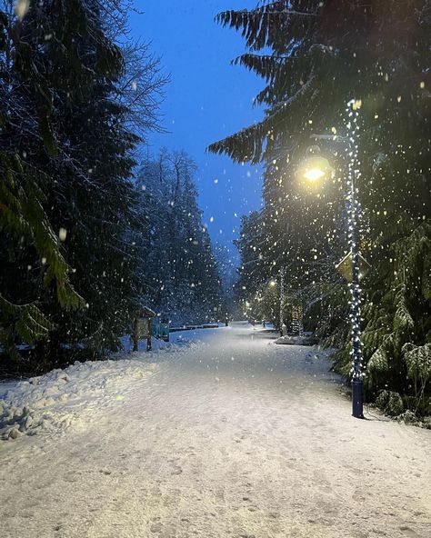 Quiet winter night in Whistler, BC Whistler Aesthetic, Snowy Path, Whistler Bc, Canada Destinations, Winter Beauty, Best Seasons, Futuristic Technology, Winter Night, Whistler