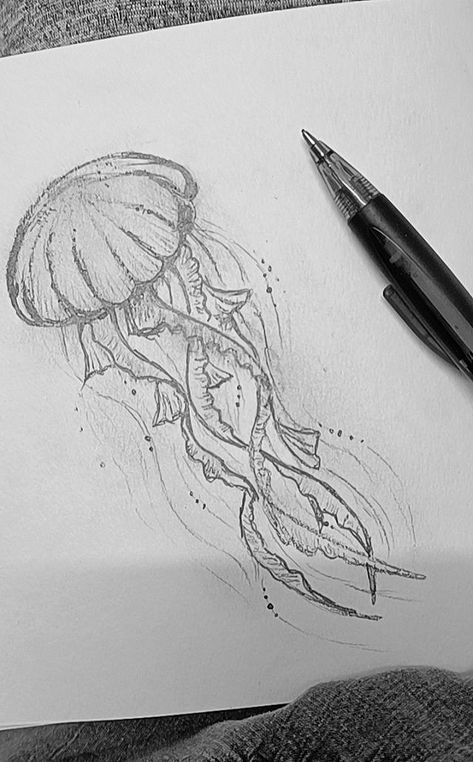 Drawing Inspo Jellyfish, Drawing Of A Jellyfish, Realistic Jellyfish Drawing, Aesthetic Sketches Ideas Cute, Jellyfish Pencil Drawing, Jelly Fish Sketches, Jellyfish Aesthetic Drawing, Drawings Ideas Animals, Drawing Ideas Jellyfish