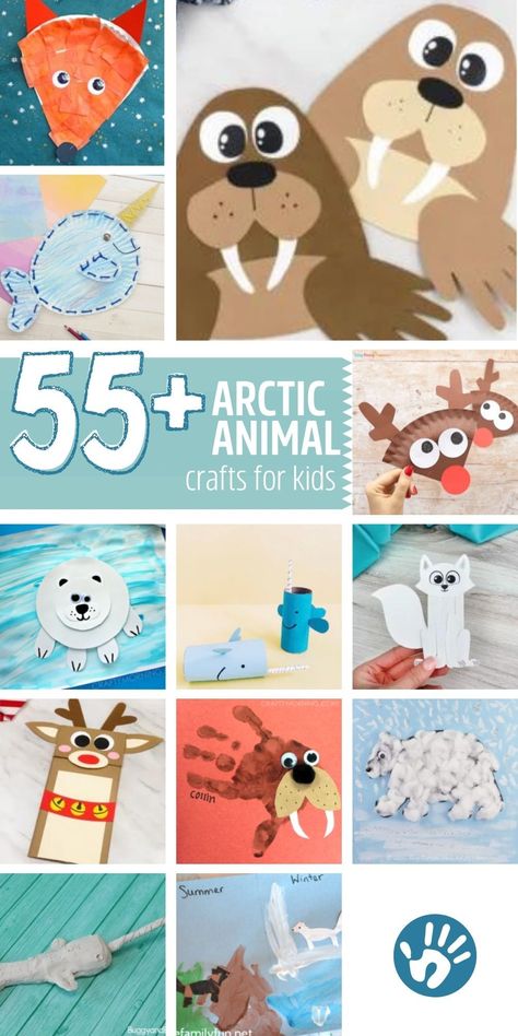 Easy Arctic Animal Crafts, Winter Animals Lesson Plans Preschool, Artic Animal Prek Activities, Cold Weather Animals Preschool, Animals In Winter Art, Arctic Seal Craft, Arctic Animal Classroom Door, Pre K Arctic Animals, Arctic Hare Craft Preschool