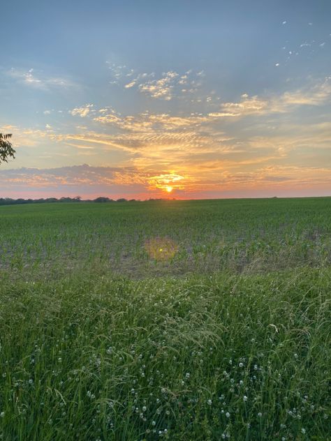 A picture I took in my backyard 😌 Grassy Hill Aesthetic, Grassy Field Aesthetic, Dharma Aesthetic, Grass Field Aesthetic, Open Field Aesthetic, Grassy Landscape, Landscape Practice, Grassy Plains, Plains Landscape