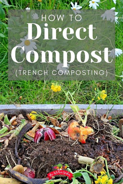 Compost Diy, Composting Tips, Composting Bins, Worm Composting Bin, How To Start Composting, Composting 101, Composting Methods, Composting Process, How To Make Compost