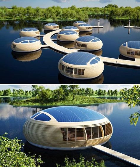 Houses On The Water, Sustainable Housing, Future Cities, Floating Architecture, Floating Hotel, Geodesic Dome Homes, Eco City, Futuristic Home, Floating City