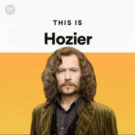 Hozier Jesus, Bog Man, Daisy Jones, All The Young Dudes, Bon Iver, Hozier, Sirius Black, Irish Men, Music Memes