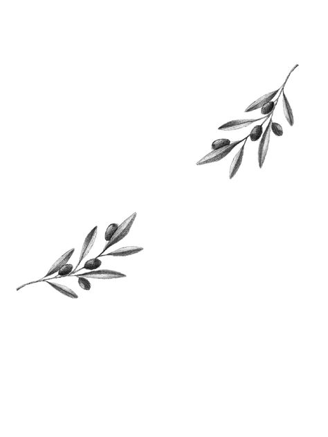 Snake Olive Branch Tattoo, Fine Line Olive Branch, Olive Brand Tattoo, Minimalist Olive Branch Tattoo, Olive Branch Sketch, Small Olive Branch Tattoo Simple, Simple Olive Branch Tattoo, Olive Vine Tattoo, Olive Tree Tattoo For Women