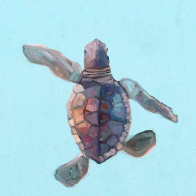 Sea Turtle Painting, Baby Sea Turtle, Sea Turtle Art, Turtle Swimming, Fabric Wall Decals, Turtle Painting, Turtle Art, Baby Turtles, Print Decals