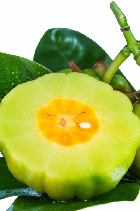 Will Garcinia Cambogia Help You Lose Weight? What 20 Studies Say | If you want to know what garcinia cambogia is, if it can help you lose weight, and whether or not it’s safe, then you want to read this article. Athlete Nutrition, Muscle Building Tips, Garcinia Cambogia, Workout Supplements, Build Muscle, Health Food, Workout Routine, To Read, Watermelon