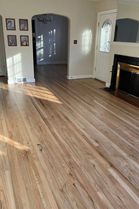 Dark Gray Carpet, Hardwood Floor Stain Colors, Original Hardwood Floors, Refinish Hardwood Floors, Oak Floor Stains, Floor Stain Colors, Staining Wood Floors, Wood Floor Stain Colors, Diy Hardwood Floors