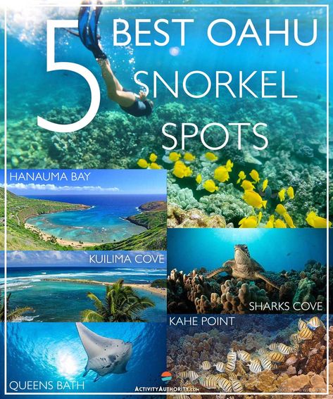 Best Snorkeling In Oahu, Oahu Snorkeling, Best Places To Snorkel, Hawaiian Ideas, Oahu Trip, Oahu Map, Hawaii Vacation Oahu, Honolulu Vacation, Hawaii Snorkeling