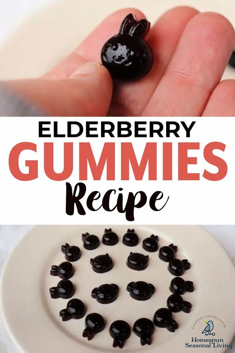 Elderberries are great for boosting the immune system. Turning them into gummies makes for a fun way to protect yourself during the cold season! Click to learn the recipe. Elderberry Gummy Recipe, Elderberry Gummies Recipe, Gummy Snacks, Elderberry Syrup Recipe, Elderberry Juice, Homemade Elderberry, Grass Fed Gelatin, Elderberry Recipes, Gummies Recipe