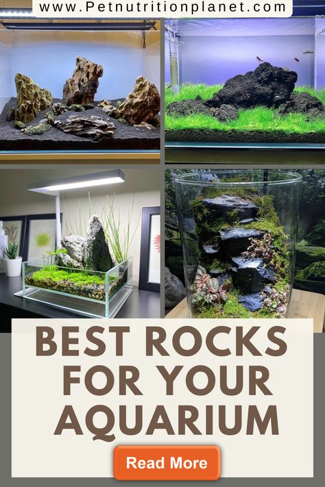 Rock Aquarium Ideas, Aquarium Stones Decoration, Aquascape Design Rocks, Fish Tank Set Up Ideas, Fish Tank Set Up, Aquarium Ideas Decoration, Fish Tank Ideas Decorations, Aquarium Rockscape, Aquarium Decor Ideas