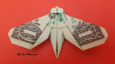 Dollar Origami MOTH Origami Moth, Puriri Moth, Origami Japan, Paper Folding Crafts, Dollar Origami, Dollar Bill Origami, Origami Ideas, Money Origami, Origami Art