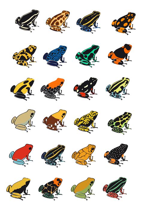 Frog Template, Colorful Frogs, Frosch Illustration, Poison Frog, Poison Dart Frog, Amazing Frog, Frog Coloring Pages, Poison Dart, Frog Illustration