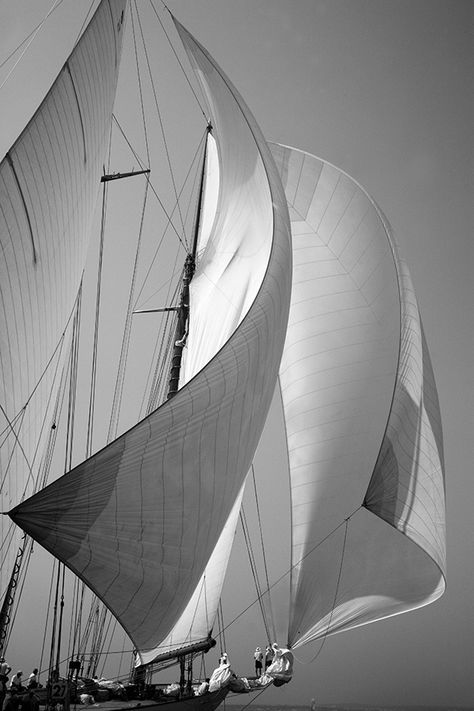 The ten best photos from 30 years of Den Phillips - Classic Boat Magazine Soya Mumu, Sailing Art, Classic Sailing, Boat Life, Classic Yachts, Sailing Vessel, Classic Boats, Yacht Boat, Tall Ships