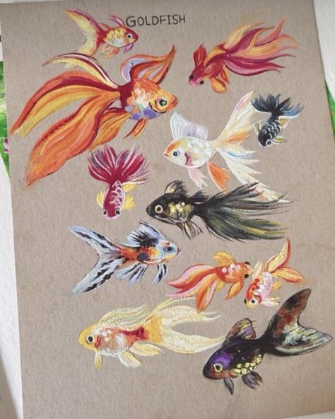 Guache Fish Painting, All Our Hidden Gifts, Encouragement Crafts, Yarn Diy Crafts, Watercolour Pencil Art, Marine Life Painting, Diary Painting, State Testing Encouragement, Testing Encouragement