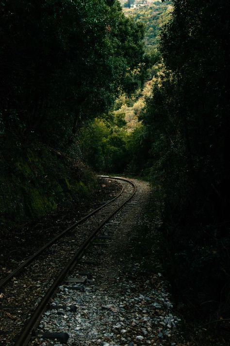 train rail in the forest photo – Free Road Image on Unsplash Train Wallpaper Aesthetic, Bigfoot Encounters, Mountain Path, Train Wallpaper, Wooden Path, Forest Photos, Best Iphone Wallpapers, Wallpaper Free Download, Landscape Wallpaper