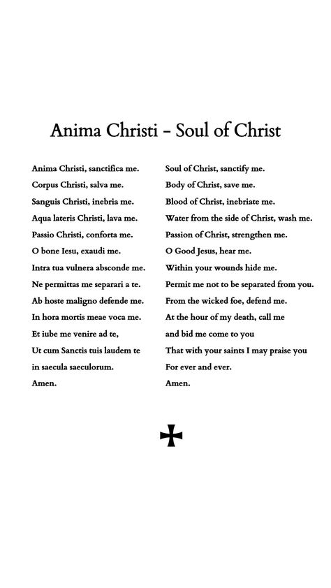 Christian Latin Phrases, Latin Christian Phrases, Latin Catholic Quotes, Catholic Latin Phrases, Prayer Tattoo, Anima Christi, Catholic Symbols, Blood Of Christ, Latin Phrases