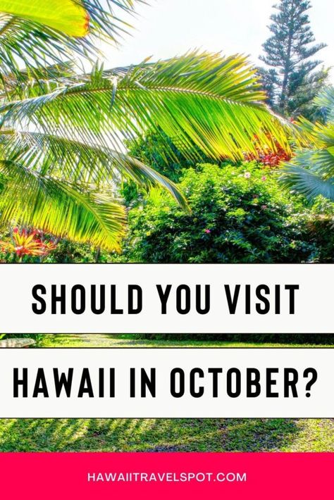 Is it Worth Visiting Hawaii in October? (2023) - Hawaii Travel Spot Hawaii In October, Things To Do In October, Fall Harvest Festival, Vacation To Hawaii, Best Hawaiian Island, Visiting Hawaii, Vacation In Hawaii, Hawaii Destinations, Waimea Canyon