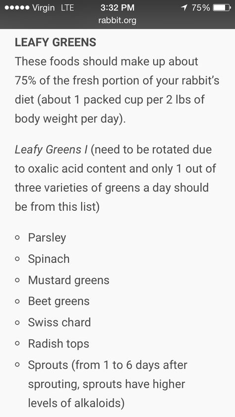 Leafy greens that are safe for rabbits Oxalic Acid, Rabbit Care, Ffa, Leafy Greens, Body Weight, Rabbits, Diet