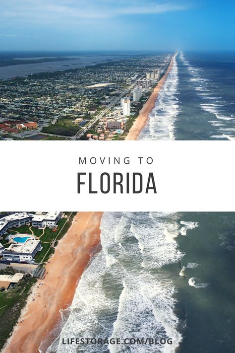 What you need to know about moving to Florida Living In Jacksonville Florida, Living In Orlando Florida, Florida Essentials, Houses In Florida, Florida Retirement, Move To Florida, Utah Beach, Homes In Florida, Florida Apartments