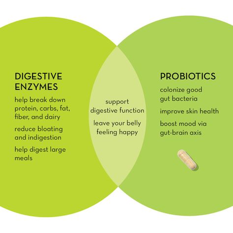 Digestive Enzymes Benefits, Probiotics Benefits, Digestive Enzymes Supplements, Good Gut Bacteria, Hum Nutrition, Probiotic Benefits, Happy Gut, Similarities And Differences, Mood Boost