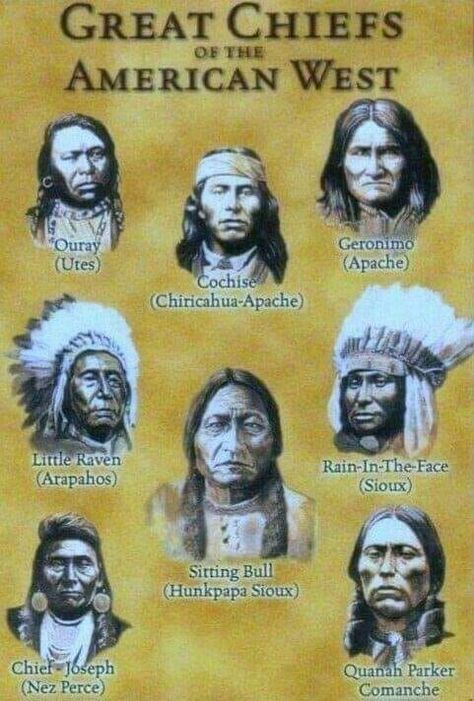 Native American Knowledge, Sioux Nation, Native American Spirituality, Indian Wars, Nature Healing, American Indian History, Native American Wisdom, Native American Warrior, Native American Images