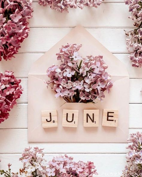 June Aesthetic Month, June Wallpaper Aesthetic, June Aesthetic, June Wallpaper, Hello June, Calendar Organization, Hello Kitty Characters, June Birthday, Valentines Wallpaper