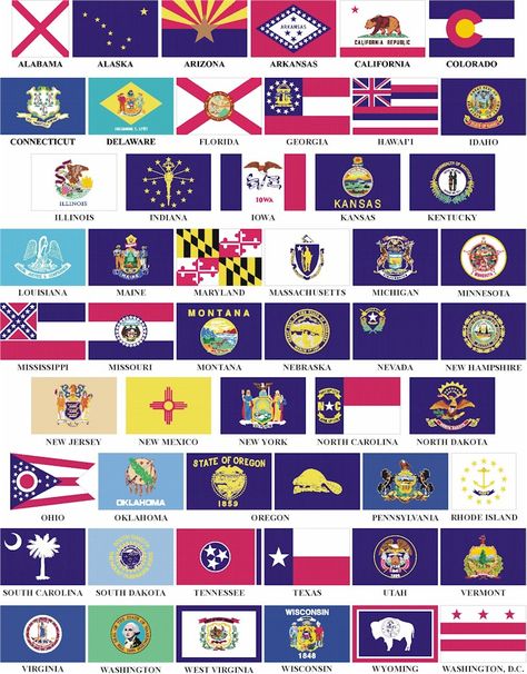 State Flags ~ Every State of United States of America has an individual flag, representing their respective state.USA state flags are based on the history of the state which is in turn based on the regional influences Tikkun Olam, Us States Flags, Trip Activities, Us Flags, State Of Oregon, United States Flag, Usa States, Skate Shop, History Photos