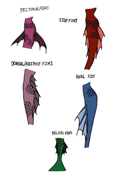 Mermaid Tail Art Reference, Mythical World Art, Mermaid Body Reference, How To Draw A Siren, Siren Art Reference, Betta Fish Mermaid Tail, How To Draw Mermaids, How To Draw A Mermaid, Siren Concept Art