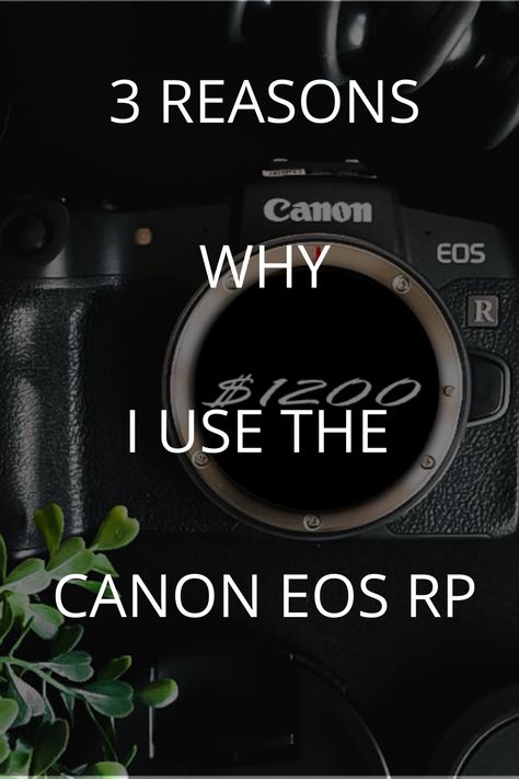 Canon Rp Camera, Canon Eos Rp Photography, Canon Mirrorless Camera, Canon Eos Rp, Gopro Photography, Vlogging Camera, Nikon Dslr, Leica Camera, Canon Lens