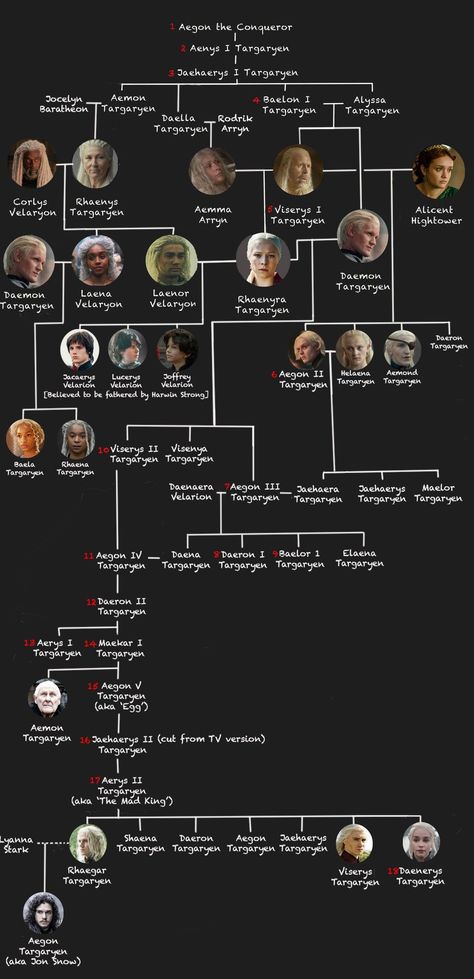 The Targaryen family tree - House of the Dragon and Game of Thrones cast explained, from Aegon to Jon Snow Targeryan Family Tree, Jon Snow Family Tree, Targaryen Tree, Daenerys And Jon Snow, House Of The Dragon Wallpaper, Jon Snow Aesthetic, Aegon The Conqueror, Family Tree House, Targaryen Family Tree