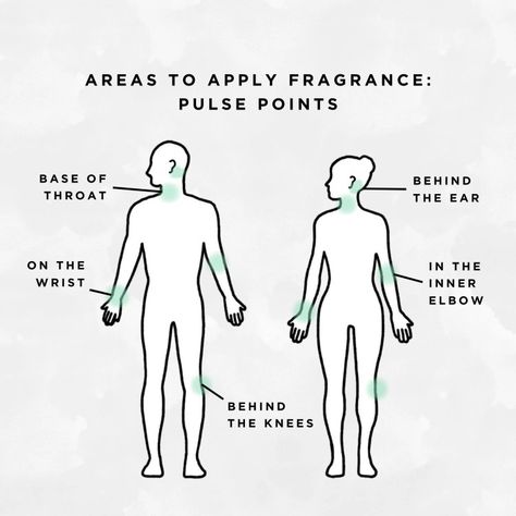 Pulse Points For Perfume, Pulse Points Perfume, Perfume Points, How To Apply Perfume, Apply Perfume, Wear Perfume, Pulse Points, Beauty Inside, Body Skin Care Routine