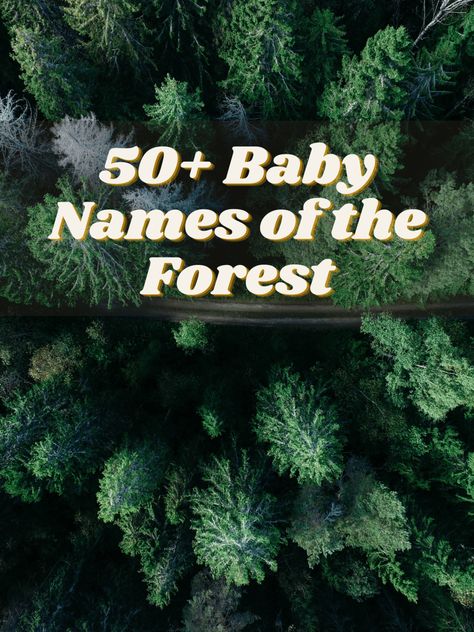 Forest Related Names, Forest Names Girl, Forest Names Nature, Names Meaning Forest, Names That Mean Forest, Forest Name Ideas, Forest Names, Fantasy Names With Meaning, Nature Baby Names