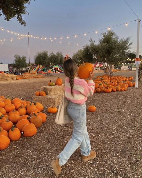 Pumpkin Patch, Pumpkins, Walking