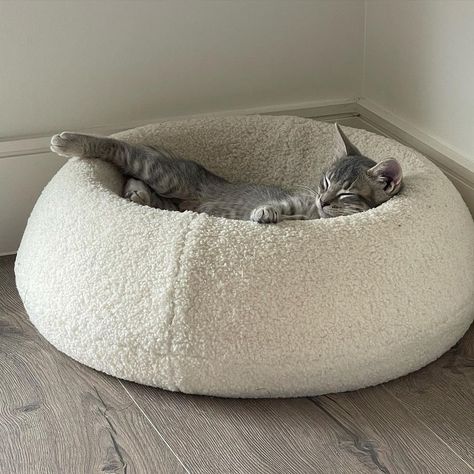 Cat Modern Furniture, Cat Things For Home Aesthetic, Luxury Cat Accessories, Cute Cat Things Products, Cat At Home Aesthetic, Cute Cat Accessories For Cats, Cool Cat Furniture, Cute Cat Beds Aesthetic, Chic Cat Furniture