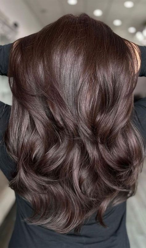 Medium Intense Brown Hair, Hair Dye Chocolate Brown, Cool Chestnut Hair Color, Trend 2023 Hair Color, Natural Hair Color For Black Hair, Chocolate Burgundy Hair Brunettes, Dark Chocolate Color Hair, Hair Color 2023 Brown, Dark Brown All Over Color