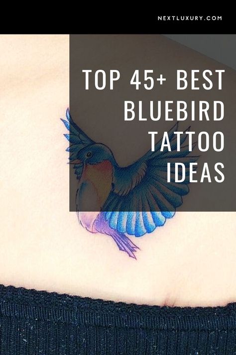 A bluebird tattoo most often symbolizes good luck, positivity, happiness, and innocence. With so many tattoo designs associated with nautical themes and sailors, the bluebird is a favored design in American and Neo-Traditional tattooing, used to represent good fortune, sweet seas, and bright blue skies. #nextluxury #bluebirdtattoo #birdtattoodesigns #bluebirdtattooideas #birdtattoos Blue Jay Tattoo Men, Bluebird Of Happiness Tattoo, Tiny Blue Bird Tattoo, Masculine Bird Tattoo, Small Blue Jay Tattoo, Bluebird Tattoo Meaning, Eastern Bluebird Tattoo, Blue Bird Tattoos, Blue Bird Tattoo