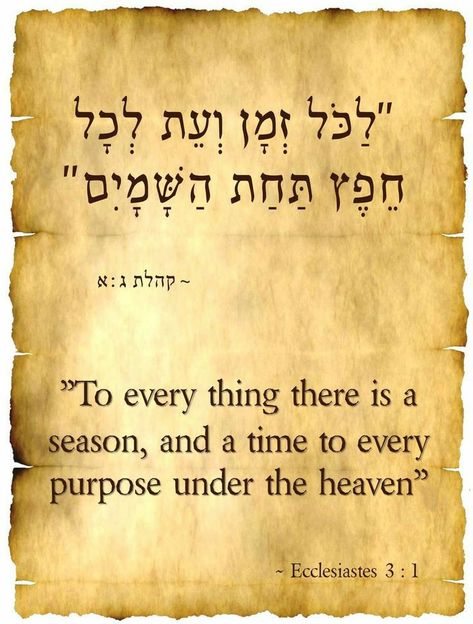 Vertical Postcard, Learn Hebrew Alphabet, Torah Quotes, Bible Tattoo, Hebrew Language Learning, Hebrew Tattoo, Hebrew Vocabulary, Hebrew Quotes, Hebrew Writing