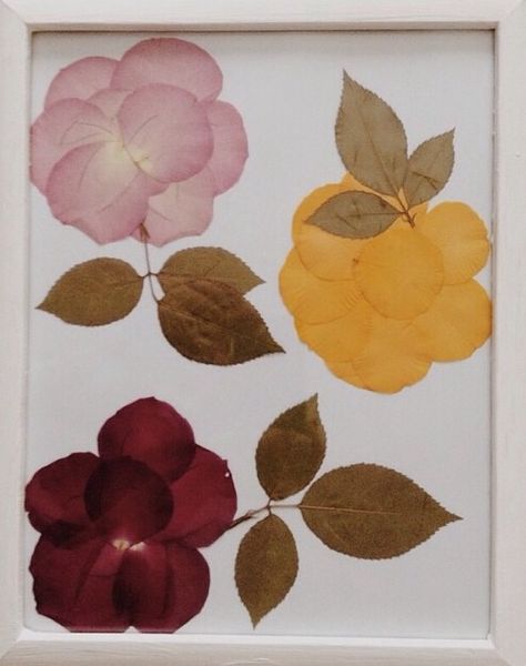 Pressed rose petals & leaves Rose Petals Craft, Pressed Rose Petals, Pounded Flowers, Pressed Roses, Pressed Flowers Diy, Flower Petal Art, Dried Flowers Diy, Drying Roses, Pressed Flower Crafts