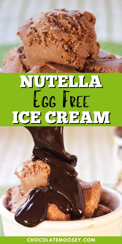 Nutella Egg Free Ice Cream is a rich chocolaty eggless ice cream made in a blender. This is a no cook homemade ice cream made with only 5 ingredients. Eggs are often used to make homemade ice cream rich and creamy. Luckily for us, Nutella achieves that same texture without eggs. This recipe for Nutella ice cream is going to be your new summer favorite. Eggless Ice Cream, Nutella Ice Cream Recipe, No Egg Ice Cream Recipe, Kitchen Aid Ice Cream Recipes, Homemade Ice Cream Recipes Machine, Kitchen Aid Ice Cream, Make Homemade Ice Cream, Nutella Ice Cream, Ice Cream Recipes Machine