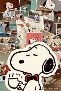 Crazy Meme, Peanuts Wallpaper, Snoopy Cartoon, Snoopy Images, Snoopy Wallpaper, Snoopy Pictures, Snoopy Love, 수채화 그림, Pinturas Disney