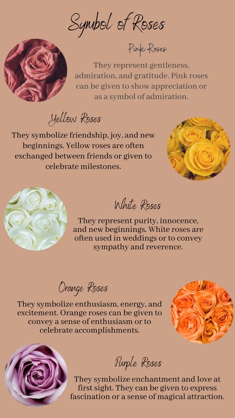 Orange Rose Meaning, Yellow Rose Symbolism, Orange Roses Meaning, Yellow Flowers Meaning, Pink Rose Meaning, Red Rose Meaning, Yellow Roses Aesthetic, Rose Symbolism, Yellow Rose Meaning