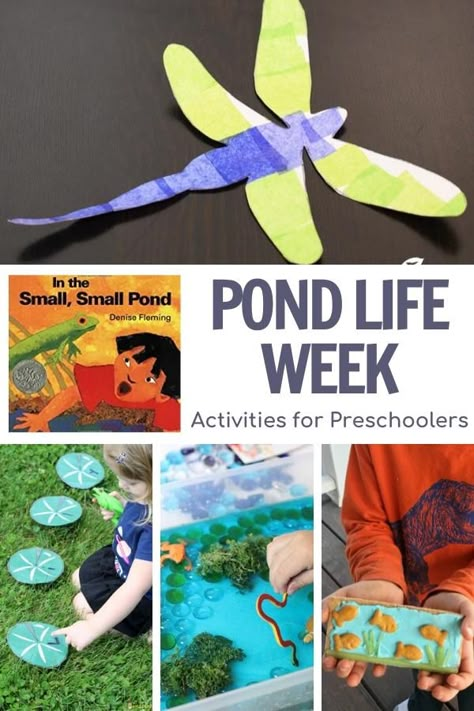 A fun week of easy to do activities for the theme of ponds and featuring the book In a Small, Small Pond by Denise Fleming for Preschoolers Pond Life Theme, Pond Habitat, Pond Crafts, Pond Animals, Lesson Plans For Toddlers, Frog Theme, Small Pond, Activities For Preschoolers, Pond Life